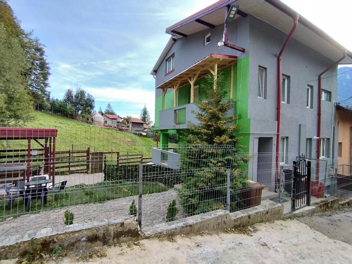 Cri Cri Buşteni